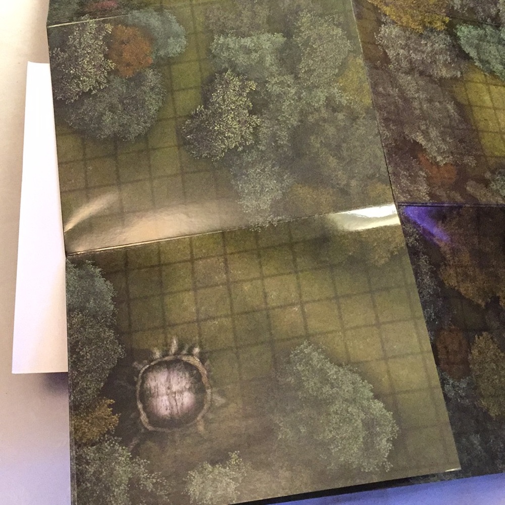 Pathfinder flip-mat classics - Picture 7 of 14